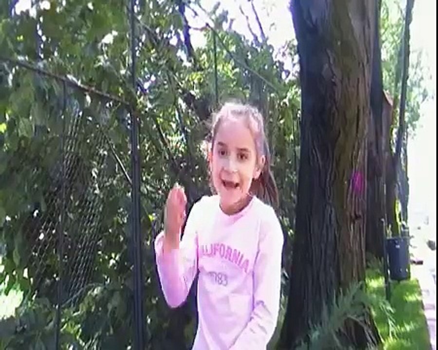 Mama lui Stefan cel Mare