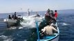 Fish Jumping into Fishing Boats Near Gaza