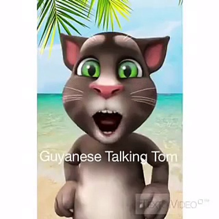 Guyana talking tom - USA visa