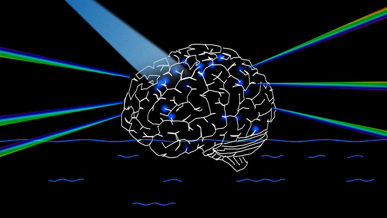 LES LIGUES EUROPÉENNES S'ASSOCIENT À LA SEMAINE DU SPORT EUROPÉEN