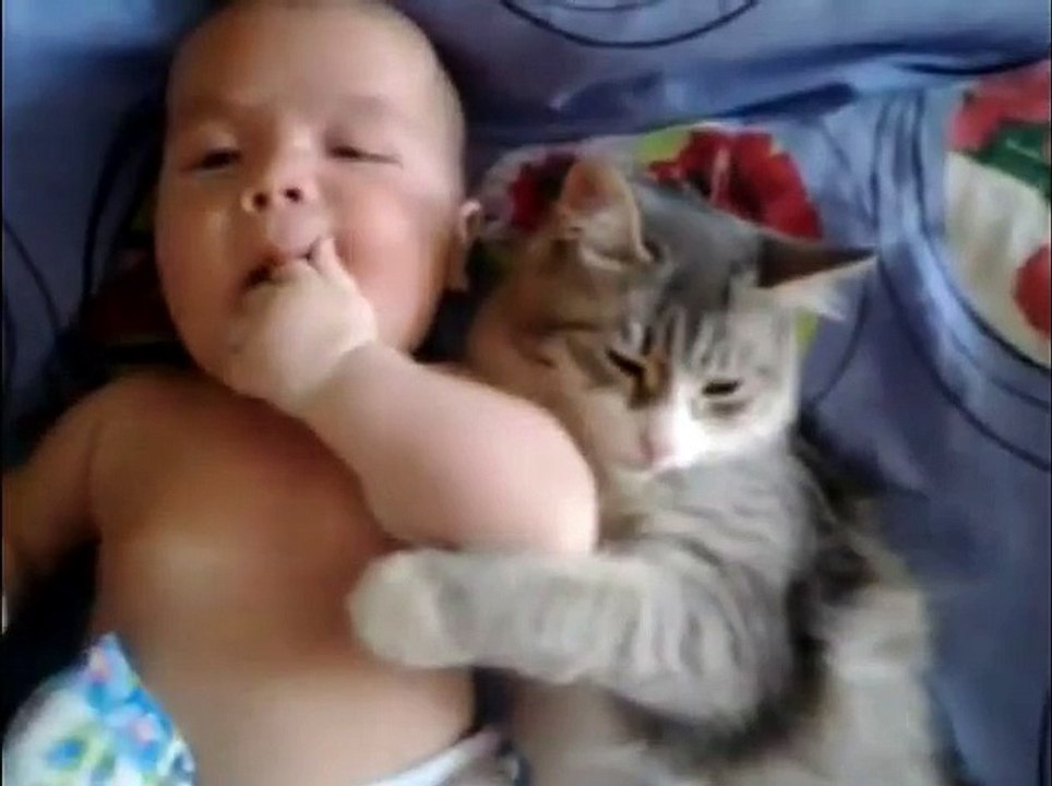 Cute cat loves baby - from  funny and cute cats and babies collection