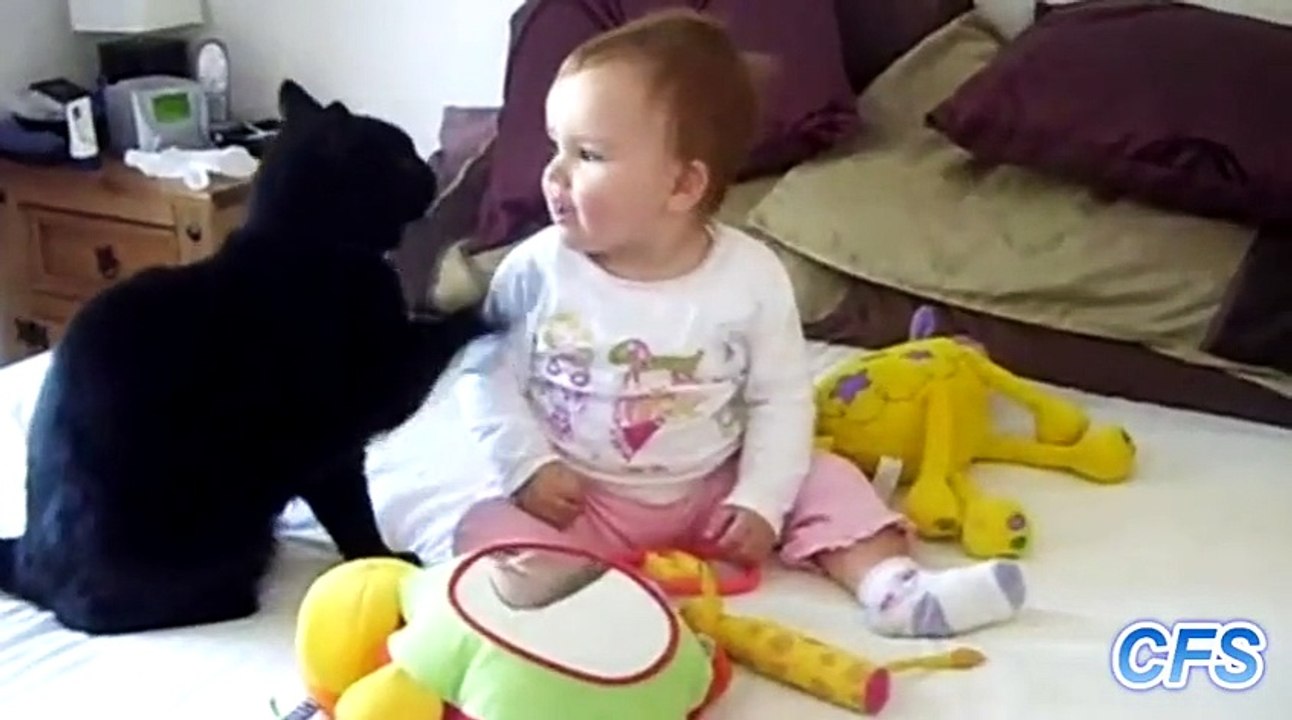 "Cats Love Babies Compilation" || CFS