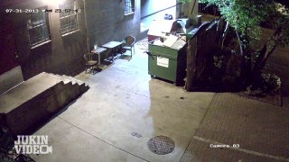 bear steals dumpster ... its a to-go box