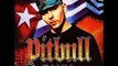 Pitbull - C  O (Miami Mix) [Feat. Mr. Vegas & Lil Jon]