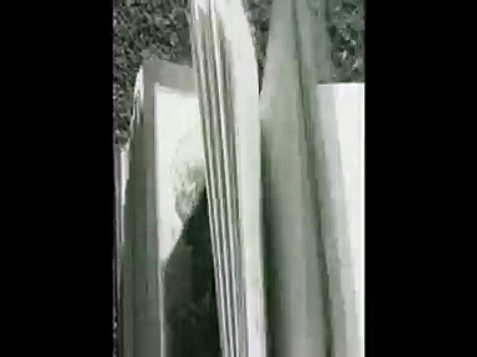 Short film : Le merle blanc - Régis Kérébel (Белый дрозд - 2013)