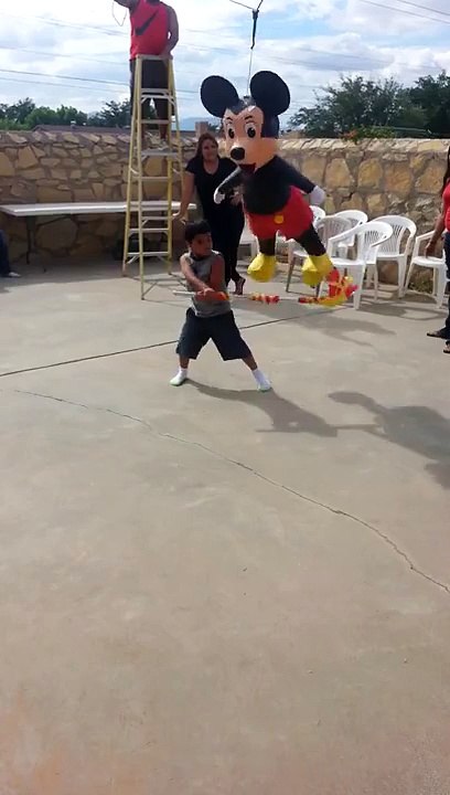 Screw You Mickey Mouse