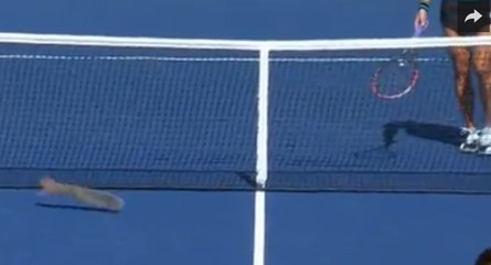 Un écureuil perturbe un match de l'US Open