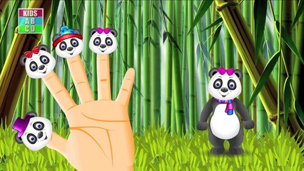 Panda Finger Family | Animal Finger Family Songs & Nursery Rhymes For Children