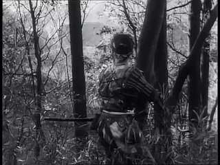 Seven Samurai - Kikuchiyo - Toshiro Mifune