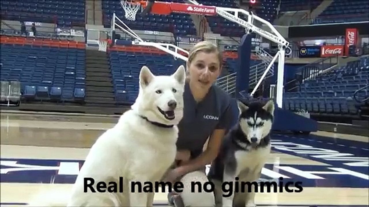 NATSC Video Contest 2014: "UCONN"