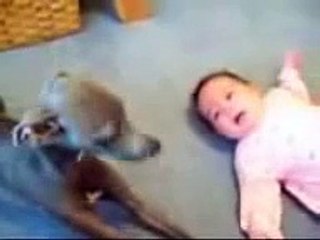 رقة الحيوان .. كلب يغنى لطفله كى لا تبكى