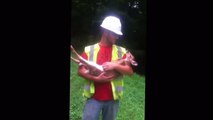 Spoiled Deer -- Lineman Spoil Fawn as They Remove It From Danger