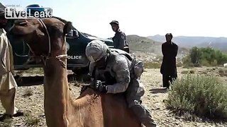 Soldiers vs Camels