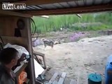 Man Films Final Moments Of His Life - Mother Bear Attacks And Kills 3 People