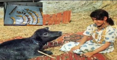 Magnificent Sumerian Ma'dan life of South Iraq - Arabic music - الاهوار في العراق