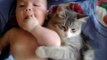 Cute cat loves baby - from  funny and cute cats and babies collection