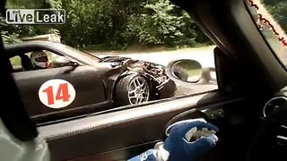 Deer Pulverized by Porsche at Speed