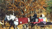 Medieval Horses - Siuil A Run