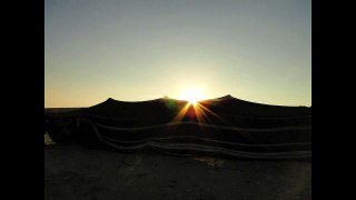 Pictures&audio from my Bedouin tent morning walk (tristamit bird)
