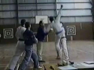 Video humor karate gag