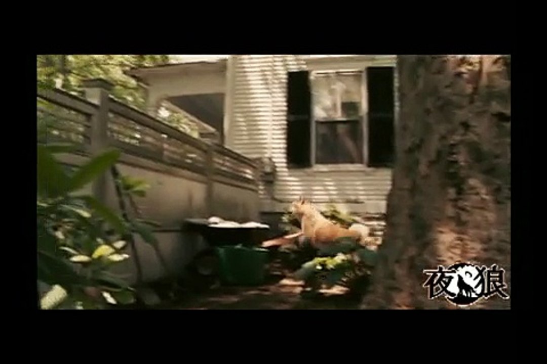 Hachiko : A Dog's Story (2009) by Yoru Okami, Music : My Immortal : Evanescence