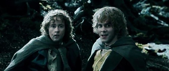 Lord of the Rings : The Two Towers Treebeard