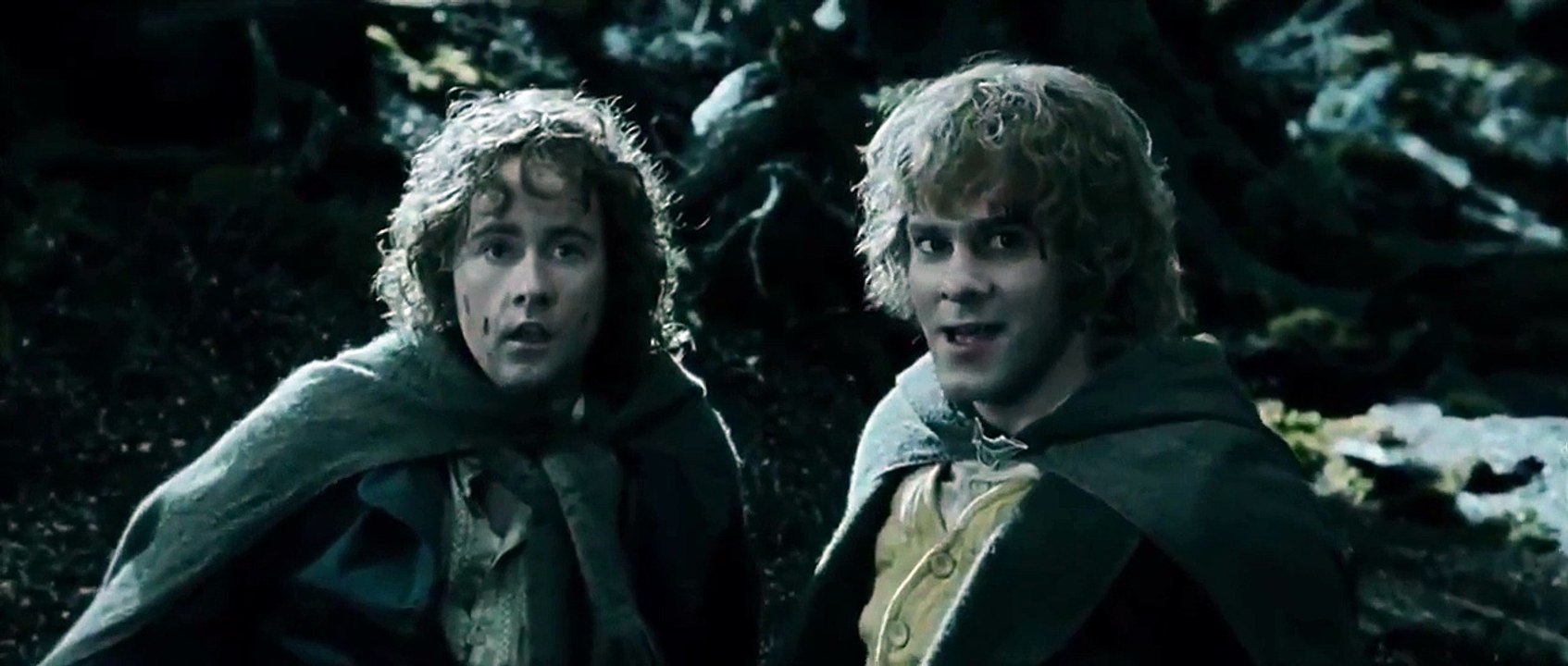 Lord of the Rings : The Two Towers Treebeard