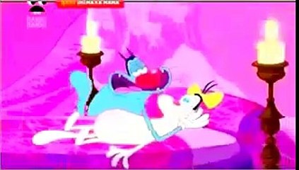 Funny Oggy Kiss Olivia Music Kam varn tee tuar mai auo Video Speed Picture(Gif Image)