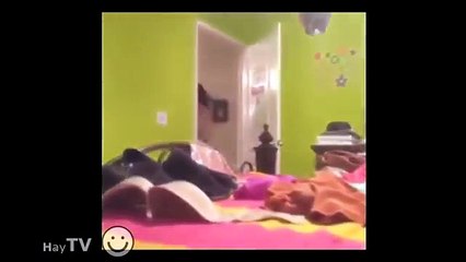 Funny Videos Funny Pranks Funny Clips Best Funny Girl Fails 2015[Funny TV]