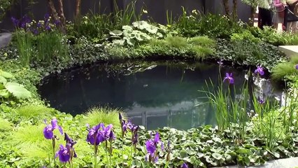 Chelsea Garden Inspiration - RHS Chelsea Flower Show 2014 - Part Two