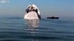 Luxury $6m superyacht sinking off Greek island of Mykonos