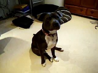 stick-em-up (extended version)