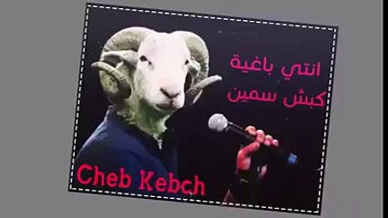 جديد 2015.... انتي باغية كبش سمين ههههههه
