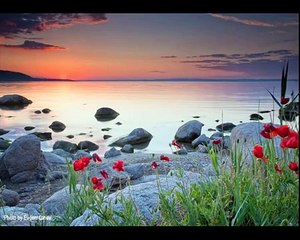 Somewhere over the rainbow - Israel Kamakawiwo'ole (Cover)