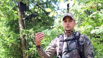 Beyond the Bow Episode 7 - Bowhunting Basics, Part 1