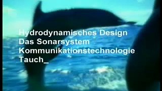 BIOMIMETHIK - Technologie nach dem Vorbild der Natur - Harun Yahya Doku - 1/5