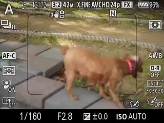 Sony-A7R-II-AF-C-TEST-with-SEL55F18Z