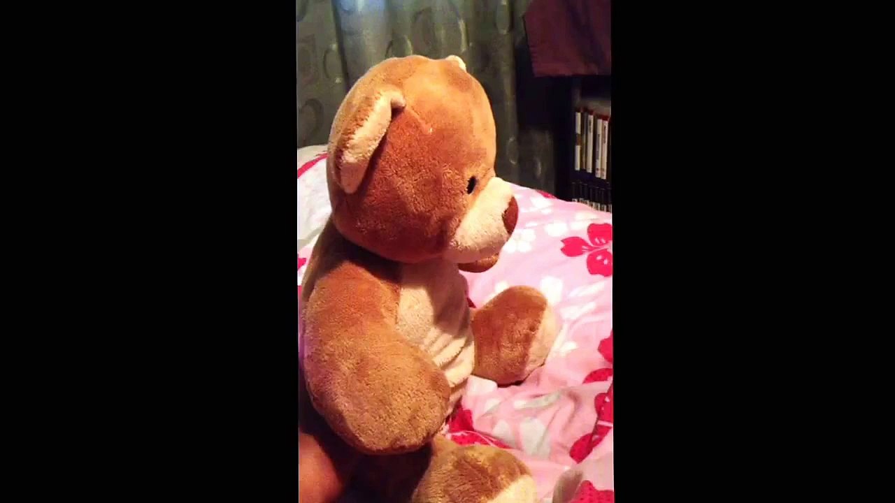 Animal discovery episode 1