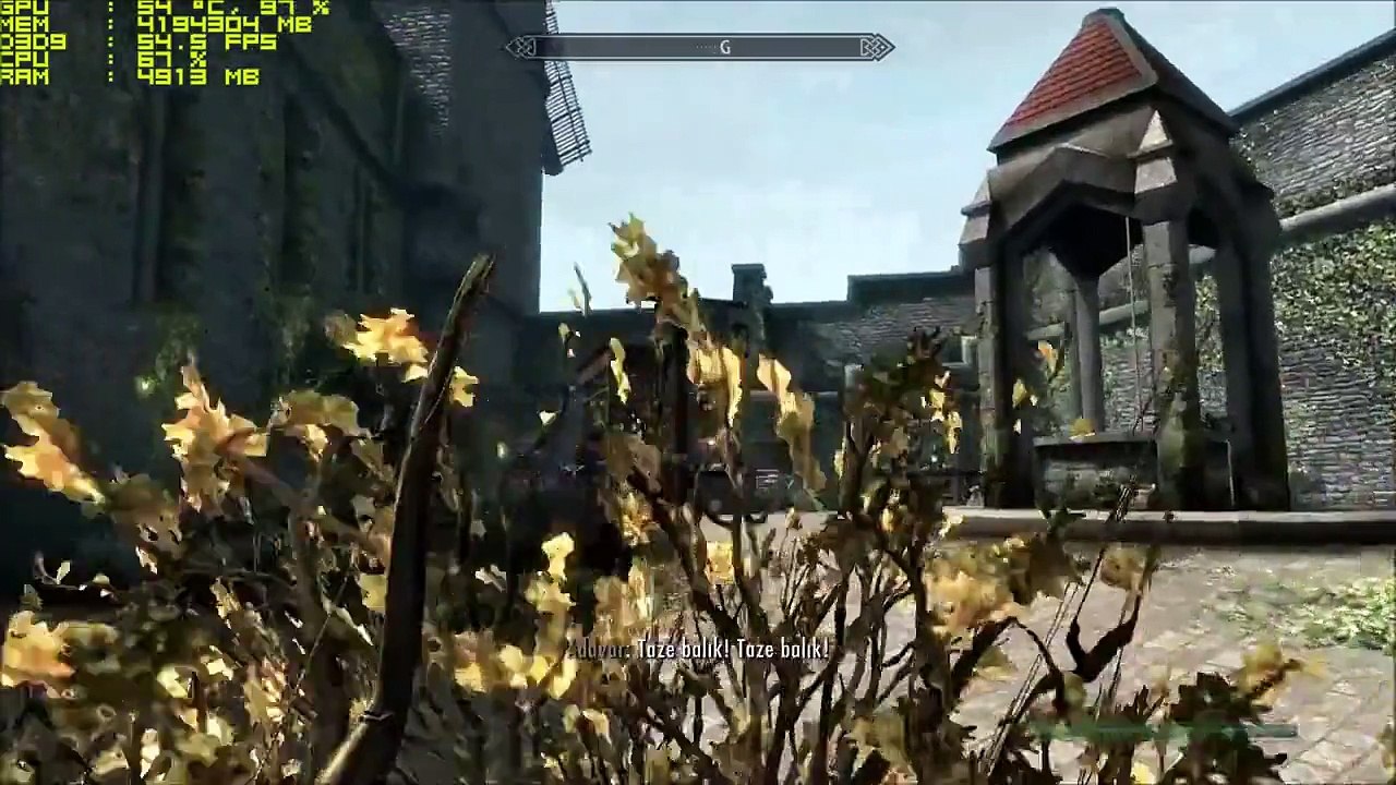 Skyrim | FPS TEST | Asus GTX 750 Ti Strix @i3 550 3.20 Ghz