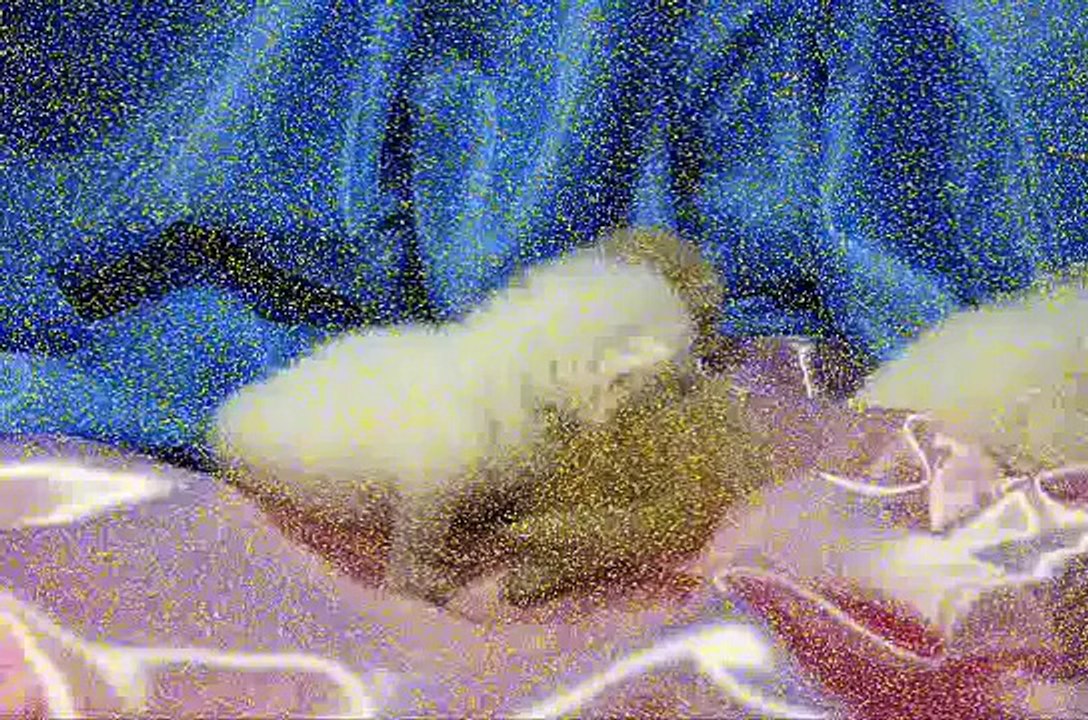 three little kittens