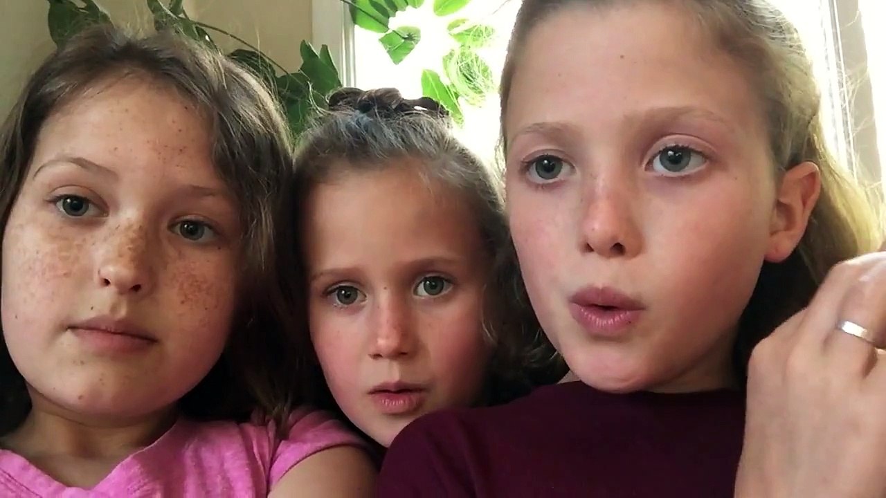 FISH AND CHIPS AND VINEGAR SONG video Dailymotion