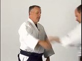Aikido Techniques - Nikyo - Hook Punch Self Defense