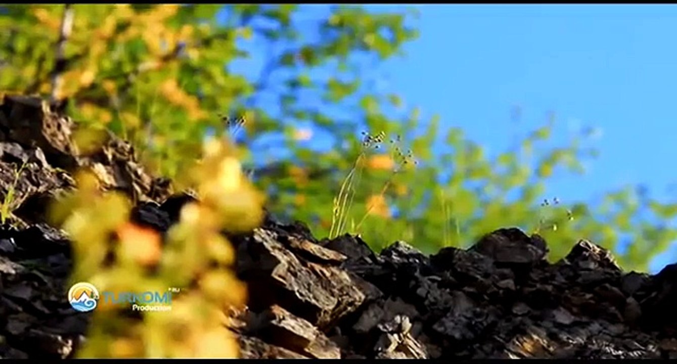Заказник "Адак", Республика Коми