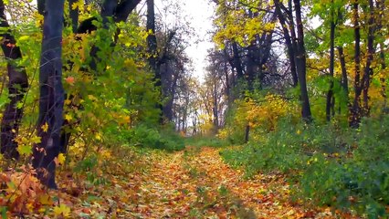 Полибино - усадьба Нечаевых-Мальцева, Липецкая область