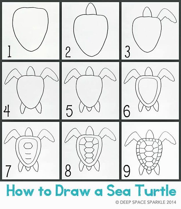 How to draw a turtle 2