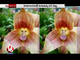 V6 Special - V6News ( 06-09-2015 )