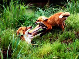 wohi to ha chala raha ha nzam e hasti