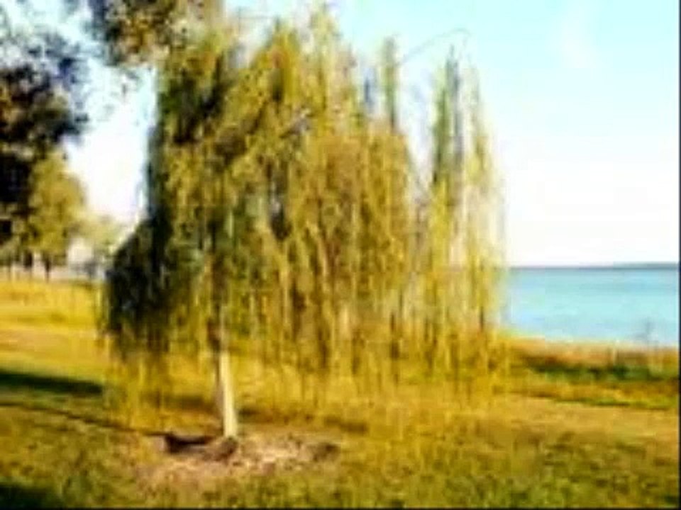 Whispering Willow     Jim Reeves