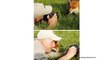 Animals taking photos of themselves - Crazy funny animal pictures