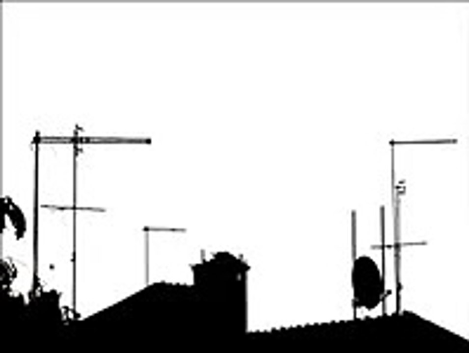 rooftop garden